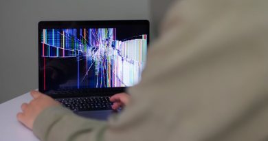 Critical Process Died